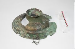 Foto von Bronzebreitrandfußschale (NHMW-PRAE-024138)